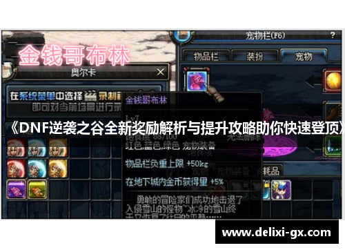 《DNF逆袭之谷全新奖励解析与提升攻略助你快速登顶》